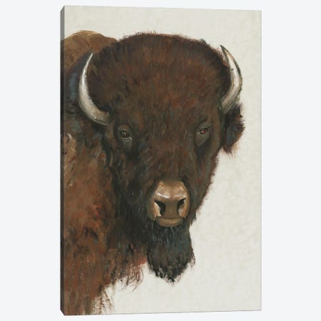 Animals of the West II Canvas Print by Tim OToole | iCanvas
