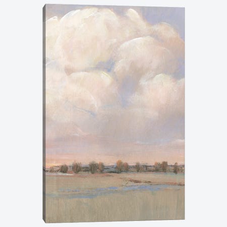 Billowing Clouds I Canvas Print #TOT726} by Tim OToole Canvas Art Print