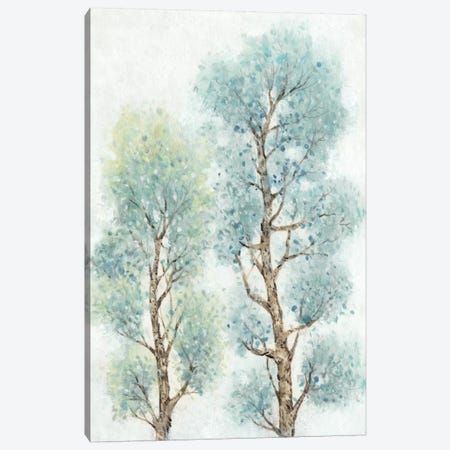 Tranquil Tree Tops II Canvas Print #TOT72} by Tim OToole Canvas Art