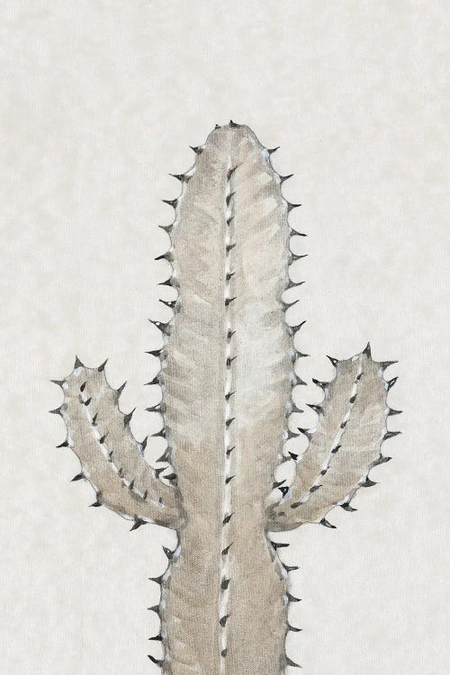 Cactus Study I by Tim OToole wall art