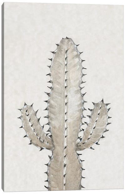 Cactus Study I Canvas Art Print - Tim O'Toole