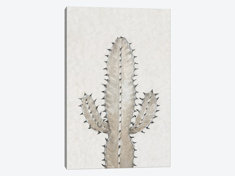 Cactus Study I by Tim OToole 1-piece Canvas Art Print