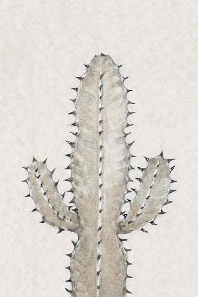 Cacti: Cactus Study I by Tim O'Toole