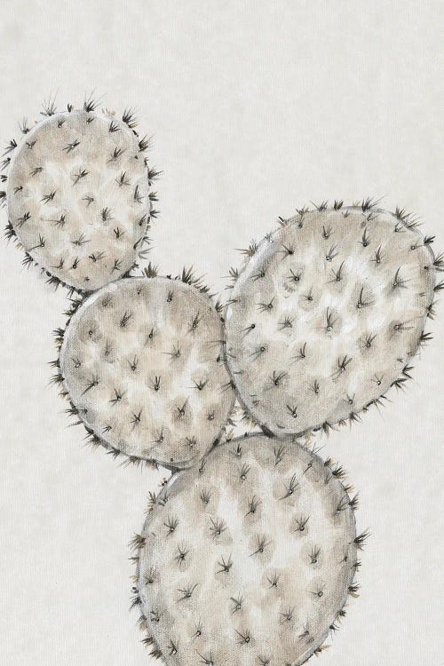 Cactus Study IV by Tim OToole wall art