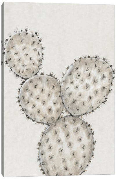 Cactus Study IV Canvas Art Print - Tim O'Toole