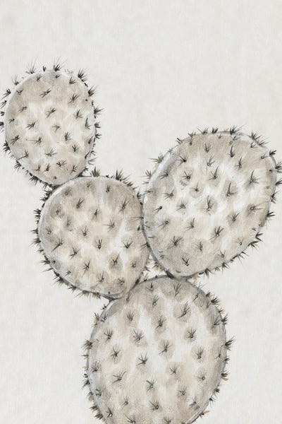 Succulents: Cactus Study IV by Tim O'Toole