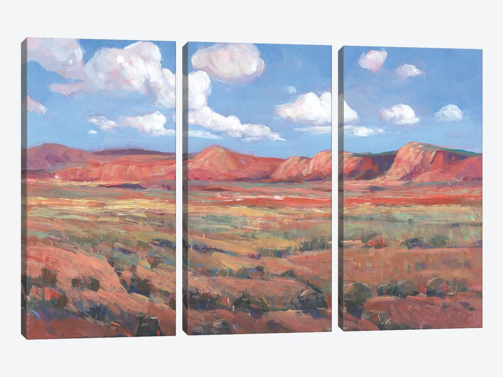 Distant Mesa I by Tim OToole 3-piece Canvas Artwork