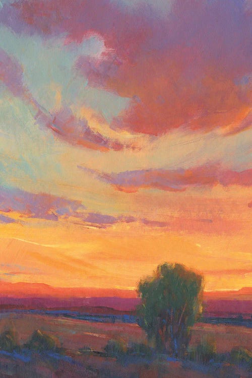 Fire in the Sky I by Tim OToole wall art