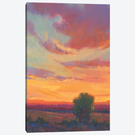 Fire in the Sky I Canvas Print #TOT743} by Tim OToole Canvas Wall Art