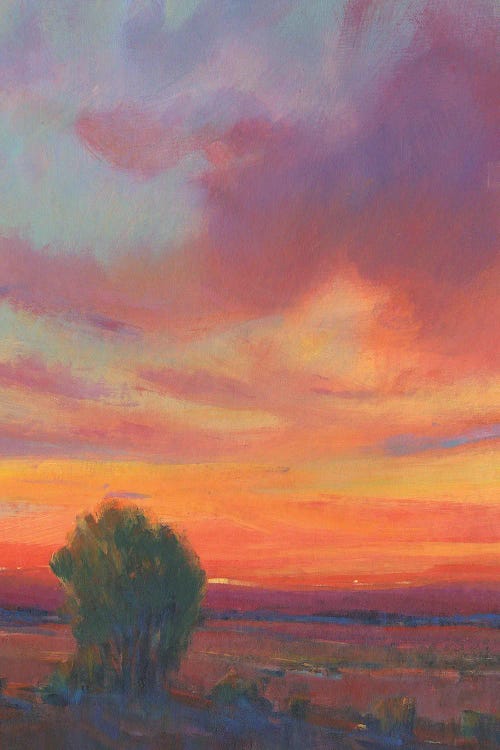 Fire in the Sky II by Tim OToole wall art