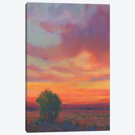 Fire in the Sky II Canvas Print #TOT744} by Tim OToole Canvas Print