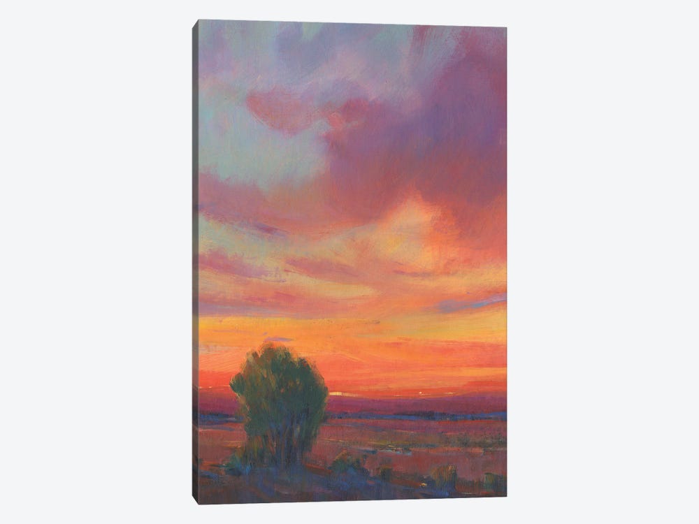 Fire in the Sky II by Tim OToole 1-piece Canvas Artwork