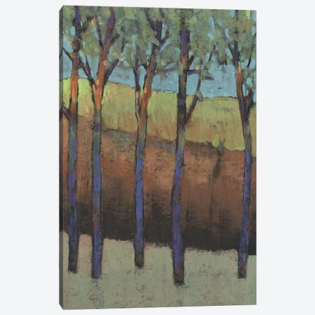 Glimmer in the Forest I Canvas Print #TOT749} by Tim OToole Canvas Artwork