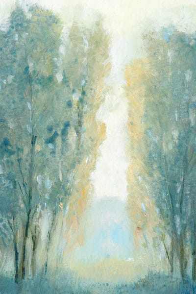 Golden Edge I by Tim O'Toole framed wall art