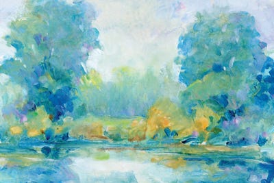 Quiet Morning I by Tim O'Toole framed wall art