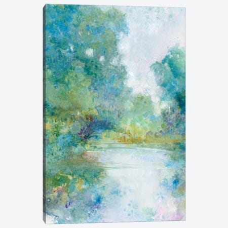Tranquil Stream I Canvas Print #TOT768} by Tim OToole Canvas Art