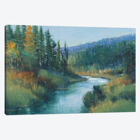 Trout Stream I Canvas Print #TOT769} by Tim OToole Canvas Artwork