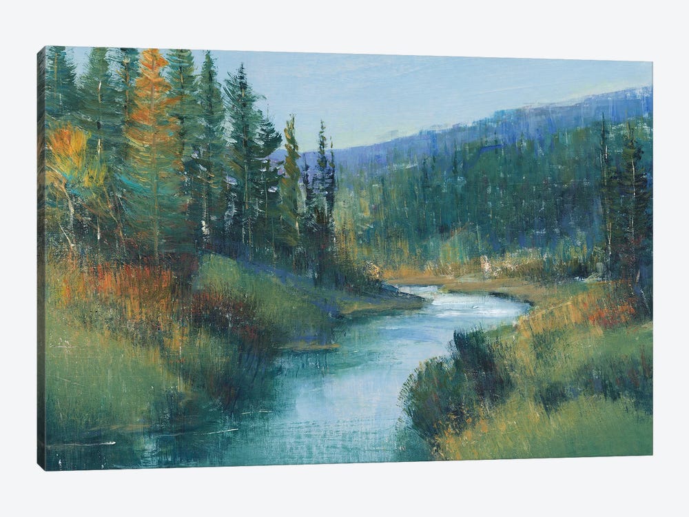 Trout Stream I by Tim OToole 1-piece Canvas Art Print