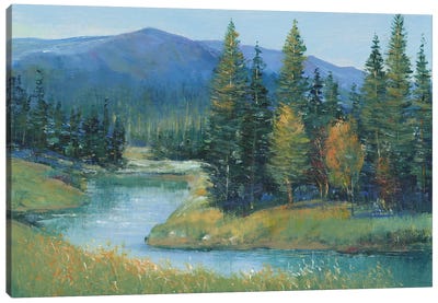 Trout Stream II Canvas Art Print - Mountain Art