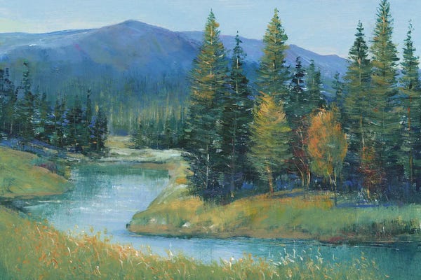 Mountains: Trout Stream II by Tim O'Toole