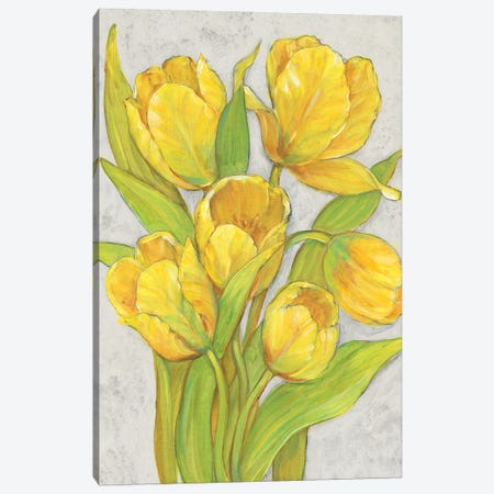 Yellow Tulips II Canvas Print #TOT778} by Tim OToole Canvas Print