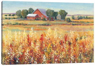Country View I Canvas Art Print - Barns