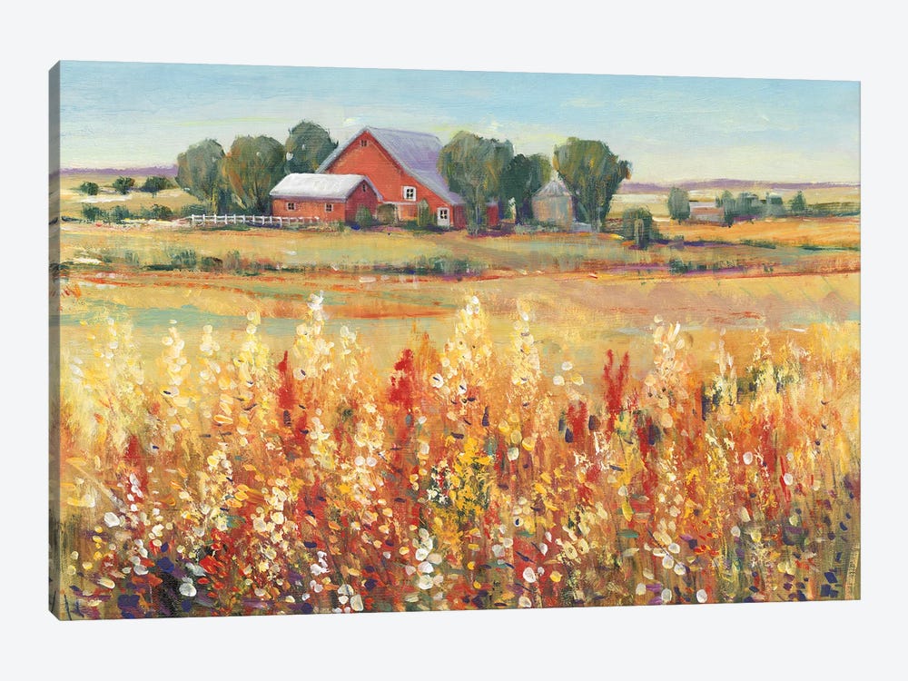 Country View I by Tim OToole 1-piece Canvas Wall Art