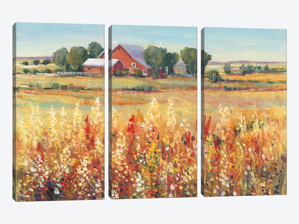 Country View I by Tim OToole 3-piece Canvas Artwork