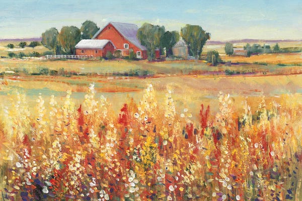 Large Scenic & Landscape Art - Canvas Prints: Country View I by Tim O'Toole