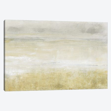 Embellished Squall I Canvas Print #TOT789} by Tim OToole Canvas Wall Art