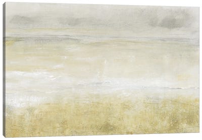 Embellished Squall I Canvas Art Print - Tim O'Toole
