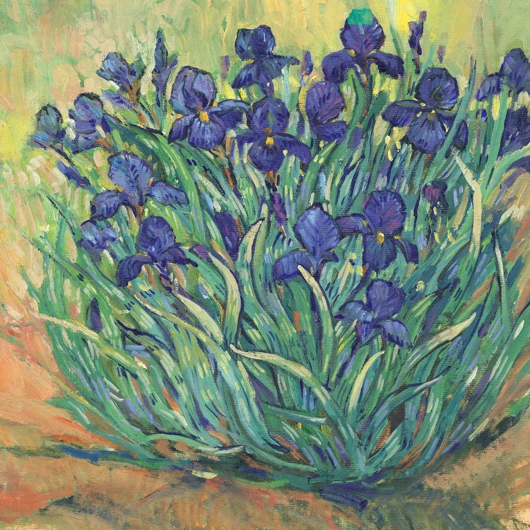 Irises in Bloom I