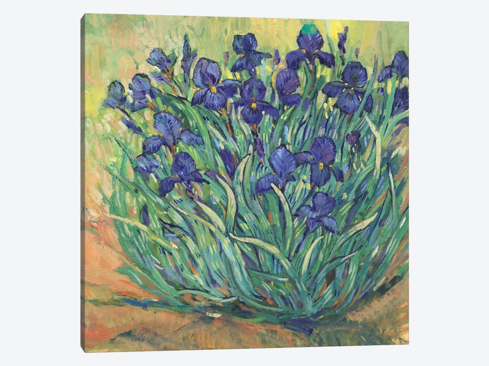 Irises in Bloom I by Tim OToole 1-piece Canvas Wall Art