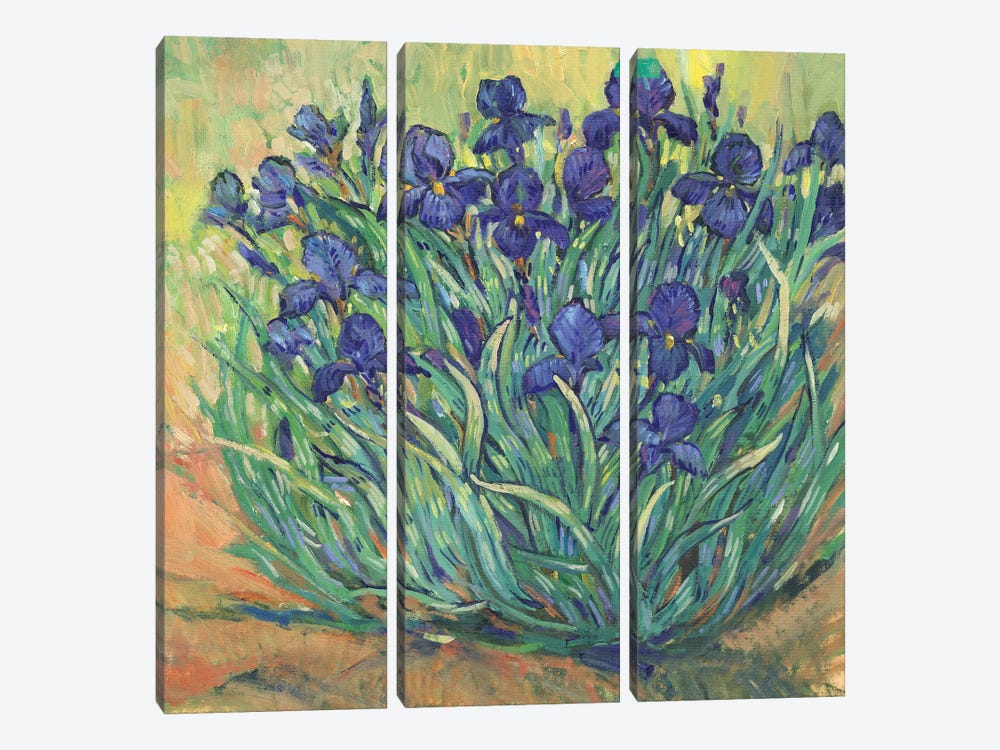 Irises in Bloom I by Tim OToole 3-piece Canvas Art