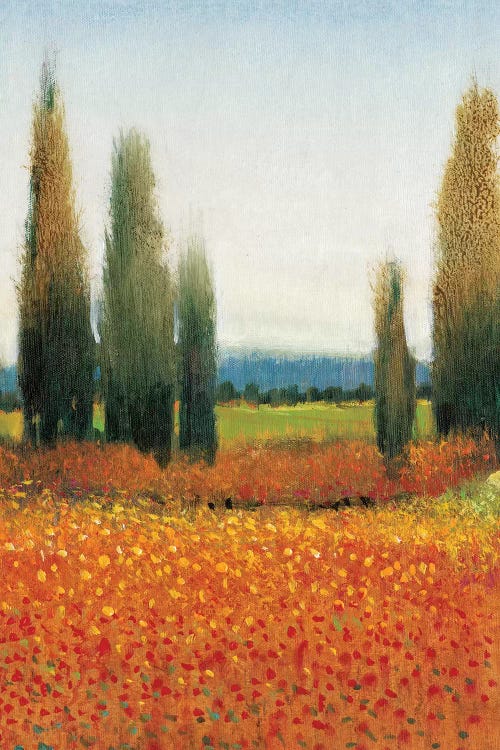 Cypress Trees II by Tim OToole wall art