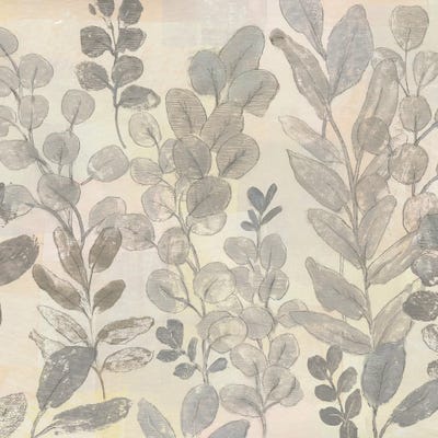 Leaf Pattern II by Tim O'Toole framed canvas print