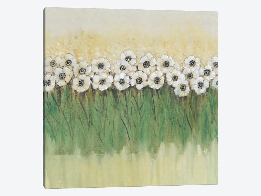 Rows of Flowers II by Tim OToole 1-piece Canvas Art