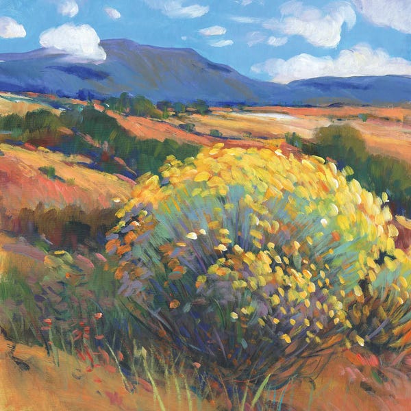 Western Décor: Chamisa II by Tim O'Toole