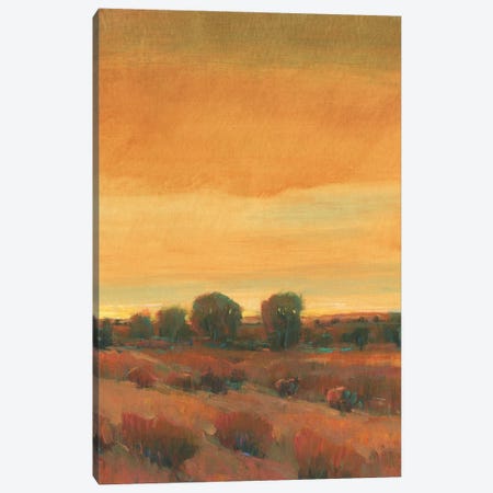 Golden Time I Canvas Print #TOT820} by Tim OToole Art Print