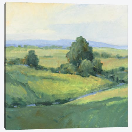 Rolling Green Hills I Canvas Print #TOT828} by Tim OToole Art Print