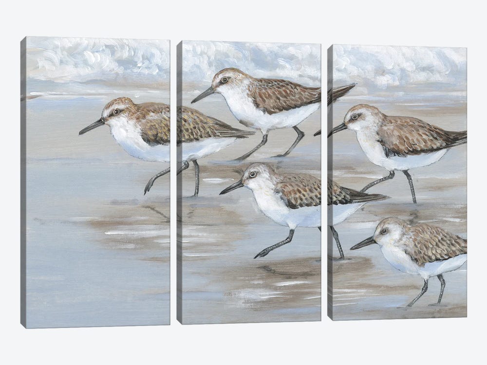 Sandpipers I by Tim OToole 3-piece Art Print