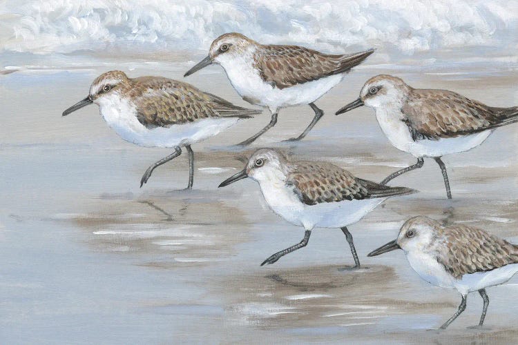 Sandpipers I