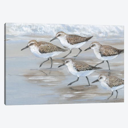 Sandpipers I Canvas Print #TOT829} by Tim OToole Canvas Art Print