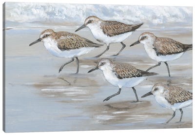 Sandpipers I Canvas Art Print - Bird Art