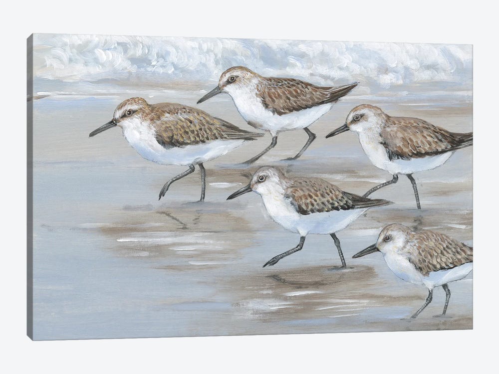 Sandpipers I by Tim OToole 1-piece Canvas Art Print