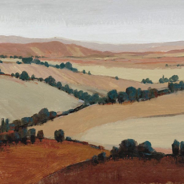 Hillsides: Soaring View II by Tim O'Toole