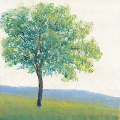 Solitary Tree I by Tim O'Toole multi panel art