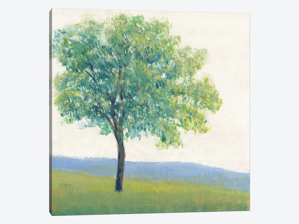 Solitary Tree I by Tim OToole 1-piece Canvas Wall Art