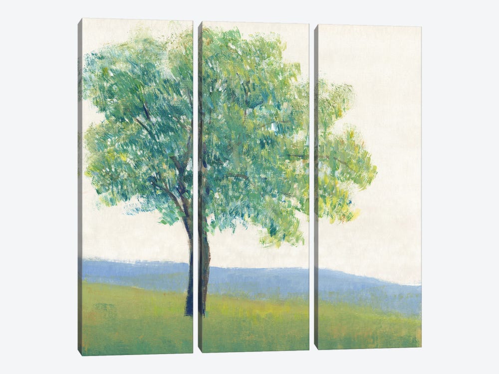 Solitary Tree I by Tim OToole 3-piece Canvas Wall Art