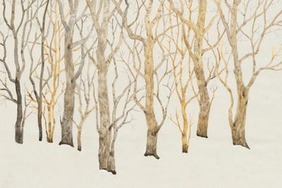 Bare Trees I by Tim O'Toole framed wall art